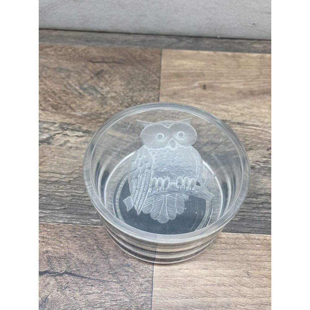 Vintage Round Lucite Owl Trinket Box